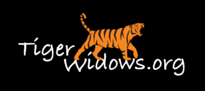 Logo 17