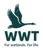 Logo 7