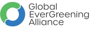 Logo 9
